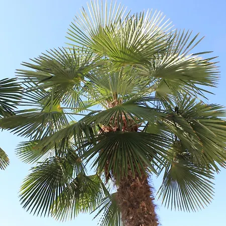 Апартаменты With A Parking Space Stinjan, - 7201 *