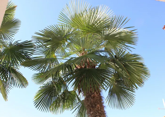 公寓 With A Parking Space Stinjan, - 7201 *